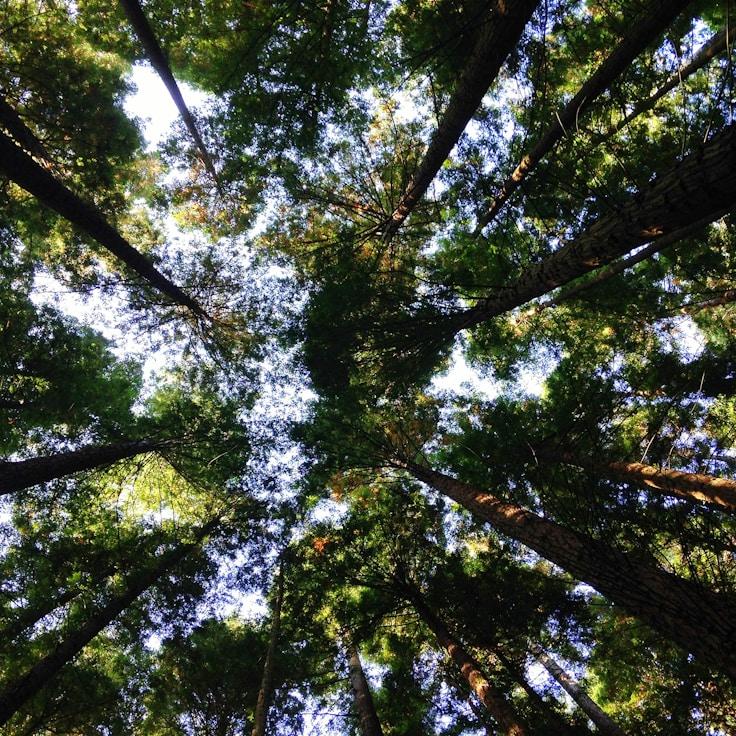 Low-impact nature route